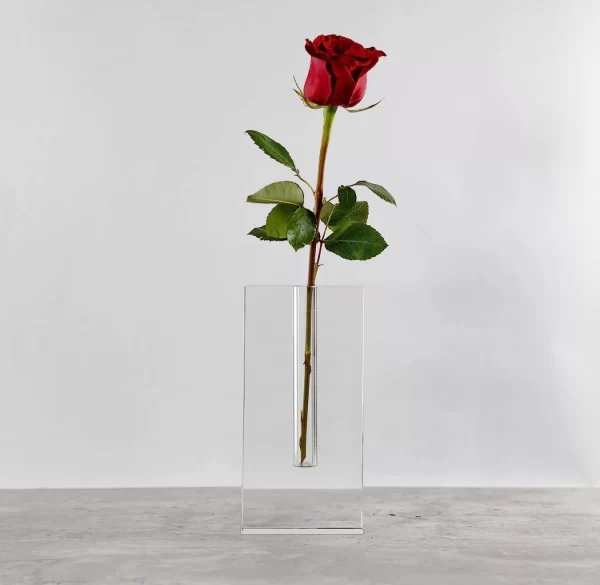 SOLITARIO RITA - Imagen 3